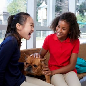 AK24HM  Girls Long Sleeve Interlock Polo with Picot Collar ( Feminine Fit) – With Madelaine Halmos Logo